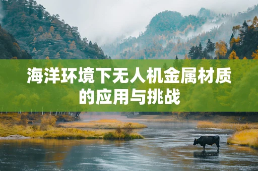 海洋环境下无人机金属材质的应用与挑战