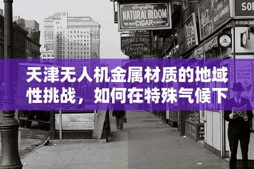 天津无人机金属材质的地域性挑战，如何在特殊气候下确保飞行安全？