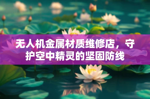 无人机金属材质维修店，守护空中精灵的坚固防线