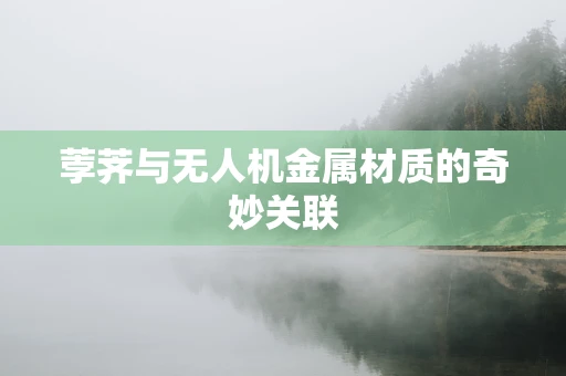 荸荠与无人机金属材质的奇妙关联
