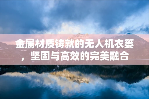金属材质铸就的无人机衣篓，坚固与高效的完美融合