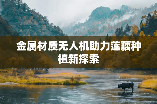 金属材质无人机助力莲藕种植新探索