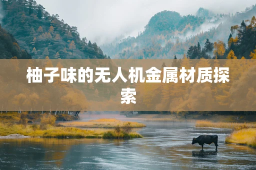 柚子味的无人机金属材质探索