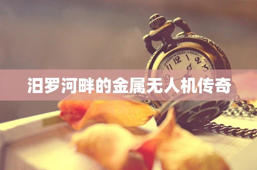 汨罗河畔的金属无人机传奇