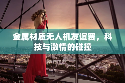 金属材质无人机友谊赛，科技与激情的碰撞