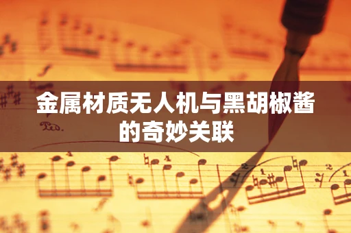 金属材质无人机与黑胡椒酱的奇妙关联