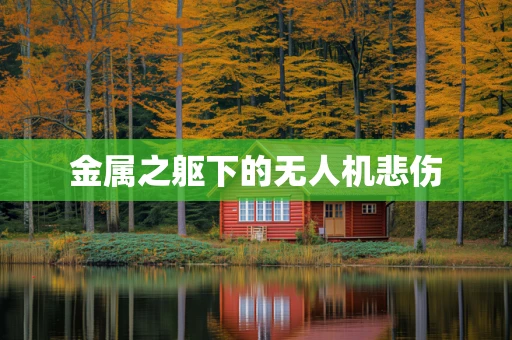 金属之躯下的无人机悲伤