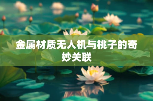 金属材质无人机与桃子的奇妙关联