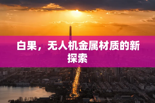 白果，无人机金属材质的新探索