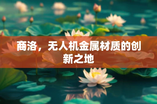 商洛，无人机金属材质的创新之地