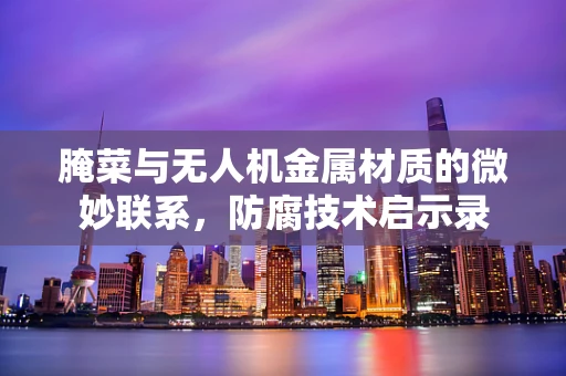 腌菜与无人机金属材质的微妙联系，防腐技术启示录