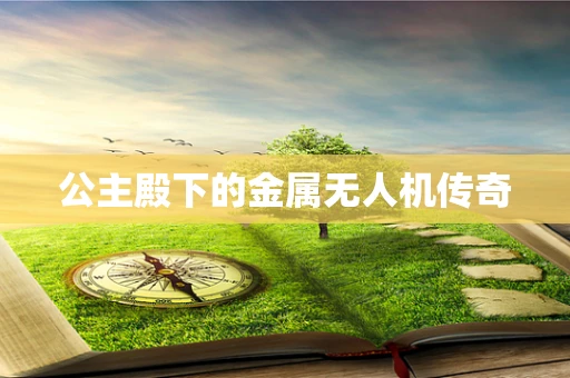 公主殿下的金属无人机传奇