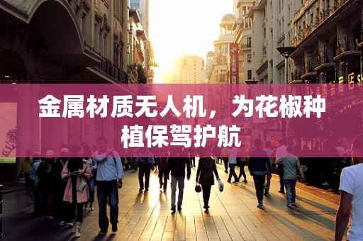 金属材质无人机，为花椒种植保驾护航