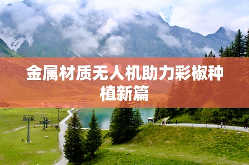 金属材质无人机助力彩椒种植新篇