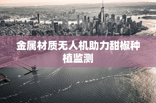 金属材质无人机助力甜椒种植监测
