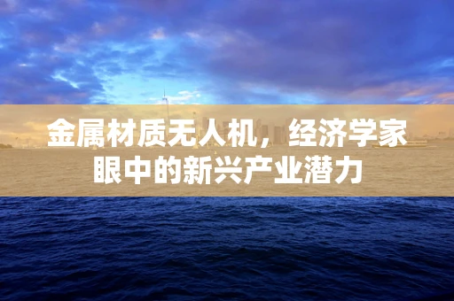 金属材质无人机，经济学家眼中的新兴产业潜力