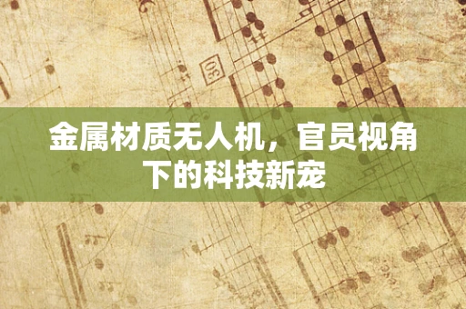 金属材质无人机，官员视角下的科技新宠