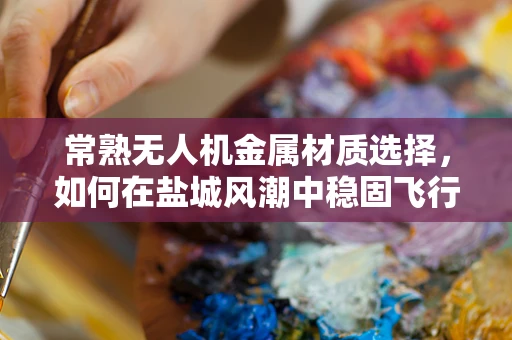 常熟无人机金属材质选择，如何在盐城风潮中稳固飞行？