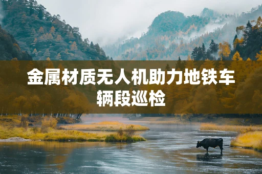 金属材质无人机助力地铁车辆段巡检