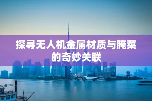 探寻无人机金属材质与腌菜的奇妙关联