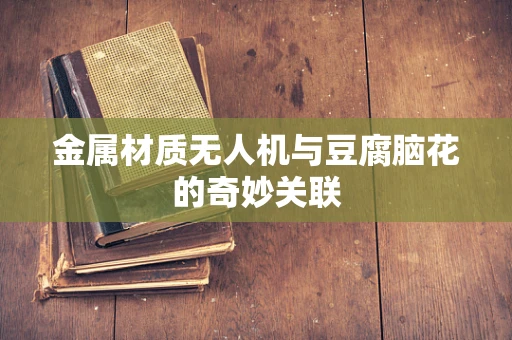 金属材质无人机与豆腐脑花的奇妙关联