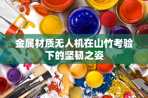 金属材质无人机在山竹考验下的坚韧之姿