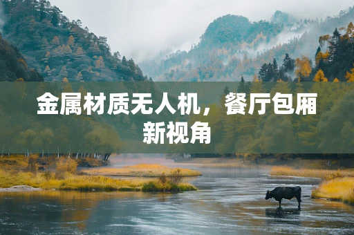 金属材质无人机，餐厅包厢新视角