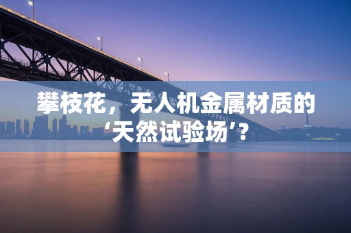 攀枝花，无人机金属材质的‘天然试验场’？