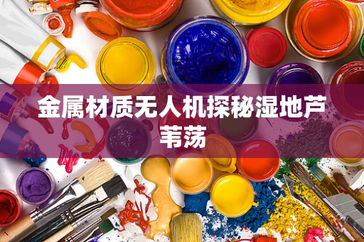 金属材质无人机探秘湿地芦苇荡