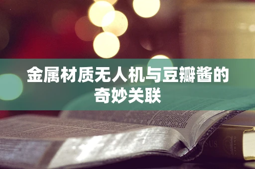 金属材质无人机与豆瓣酱的奇妙关联