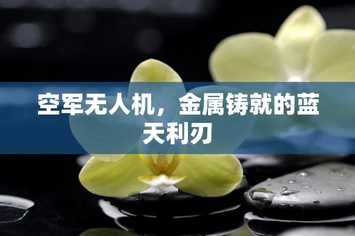 空军无人机，金属铸就的蓝天利刃