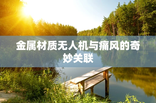 金属材质无人机与痛风的奇妙关联