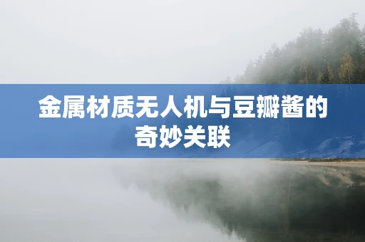 金属材质无人机与豆瓣酱的奇妙关联