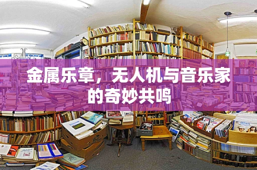 金属乐章，无人机与音乐家的奇妙共鸣
