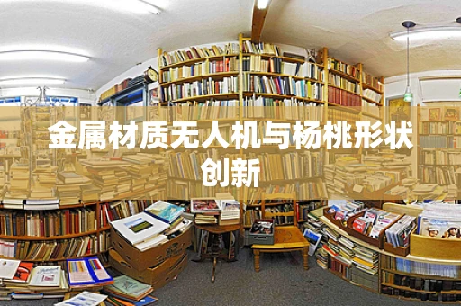 金属材质无人机与杨桃形状创新