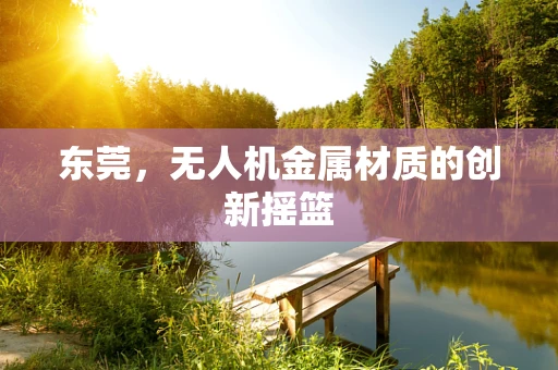 东莞，无人机金属材质的创新摇篮