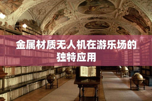 金属材质无人机在游乐场的独特应用