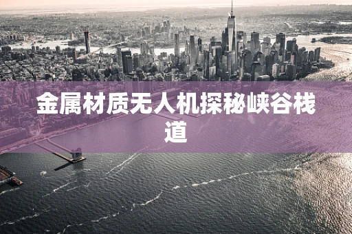 金属材质无人机探秘峡谷栈道
