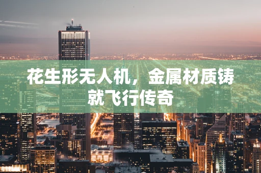 花生形无人机，金属材质铸就飞行传奇