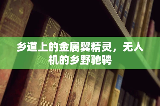 乡道上的金属翼精灵，无人机的乡野驰骋