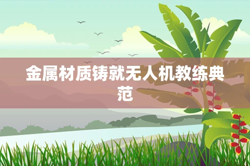 金属材质铸就无人机教练典范