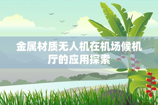 金属材质无人机在机场候机厅的应用探索