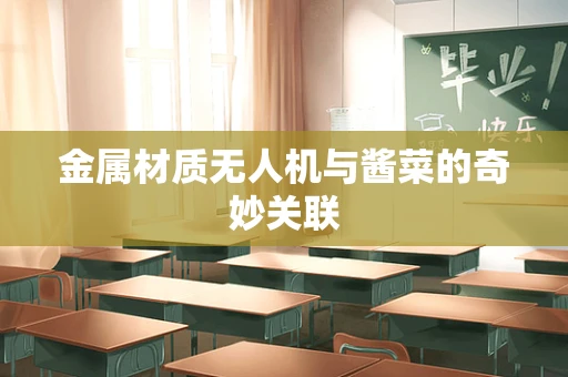 金属材质无人机与酱菜的奇妙关联