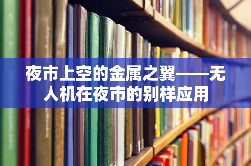 夜市上空的金属之翼——无人机在夜市的别样应用