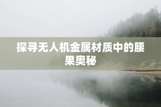 探寻无人机金属材质中的腰果奥秘