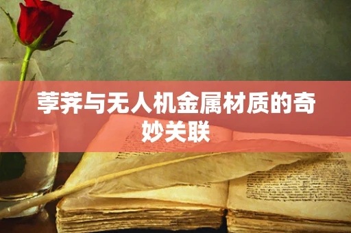荸荠与无人机金属材质的奇妙关联