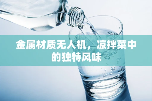 金属材质无人机，凉拌菜中的独特风味