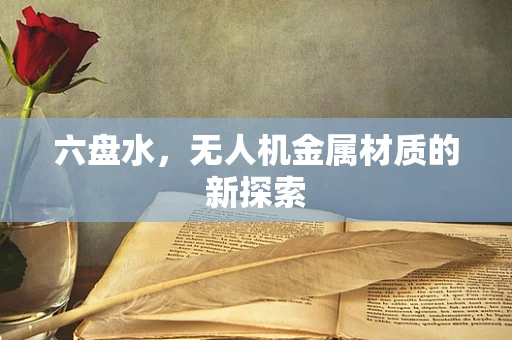 六盘水，无人机金属材质的新探索